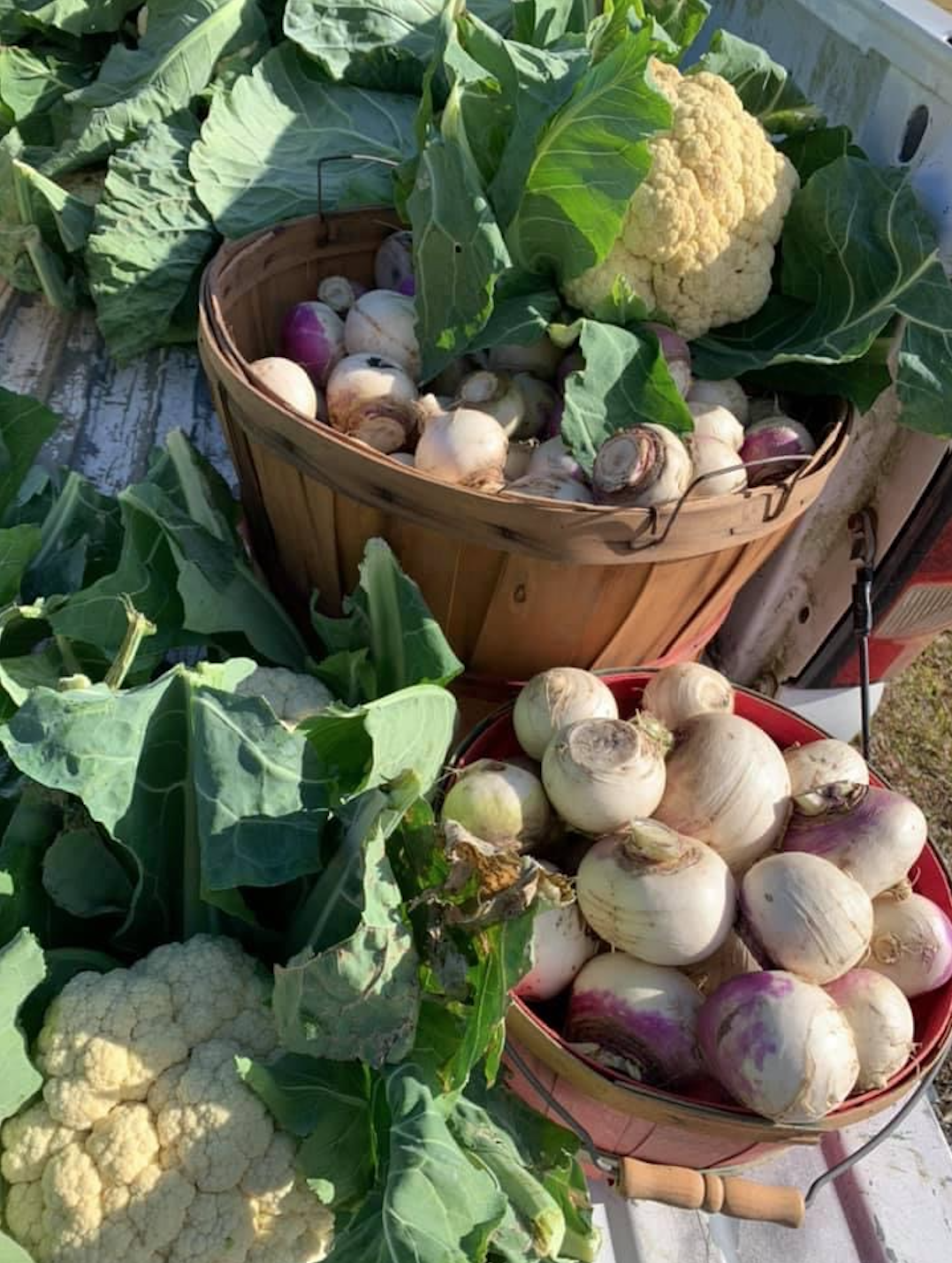 New Labadieville farmers market seeks to expand